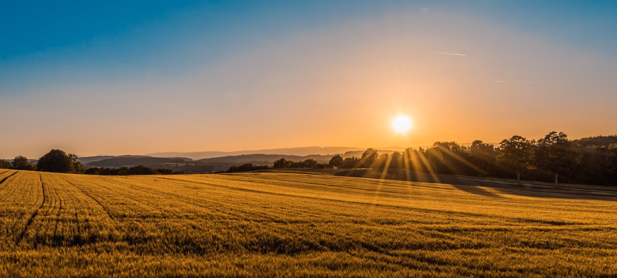 Crop Science & Agrochemicals